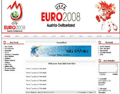 euro2008.jpg